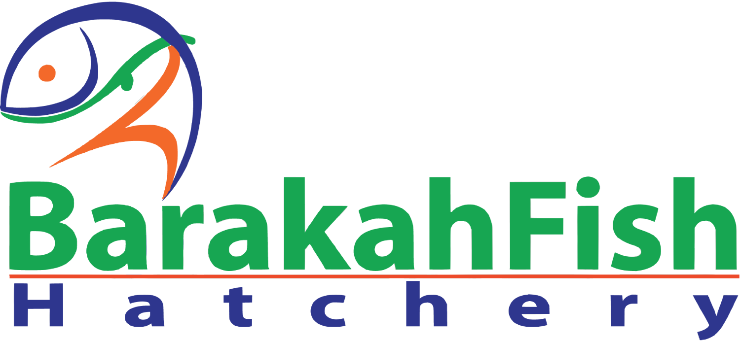 Barakah Fish Hatchery